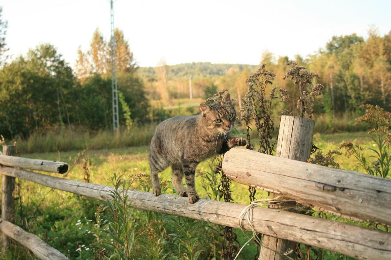 Swierkowe Rancho Brzostek Экстерьер фото